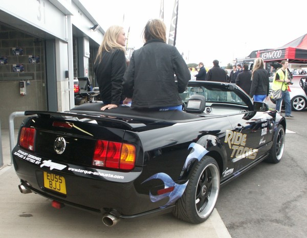 Mustang Rear