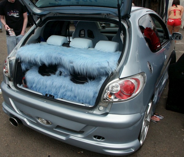 Peugeot 206 Modified Blue Fur Hatchback